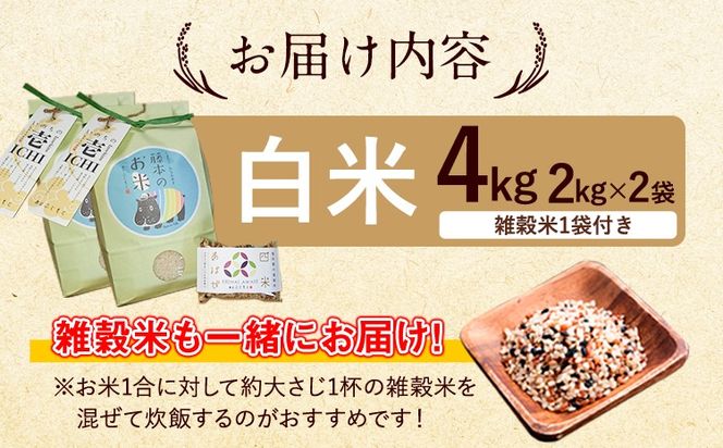 新米 令和6年産 特別栽培米 いのちの壱(白米) 4kg 2kg×2 雑穀米付き《30日以内に出荷予定(土日祝除く)》 熊本県 南阿蘇村 熊本県産 虹色のかば 白米 雑穀米---sms_inci6_30d_24_12000_h4kg---