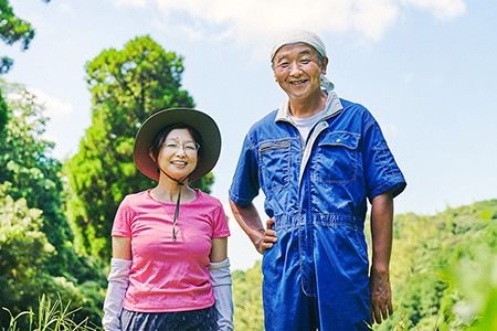 おひさまプリン&ケーキセット【スイーツ 平飼い 無添加 有精卵 ミルン牧場 牛乳 プリン県 プリンマップ 】(H073110)