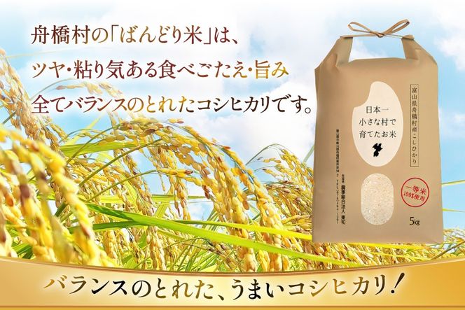 【期間限定発送】 米 令和7年 ばんどり米 コシヒカリ 精米 5kg [農事組合法人東和 富山県 舟橋村 57050201] お米 白米 美味しい こしひかり 富山 農家