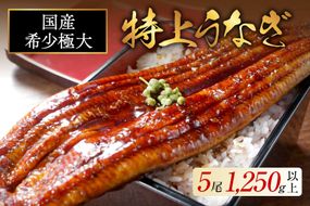 （6月）国産 希少 極大 特上うなぎ(250g×5尾)