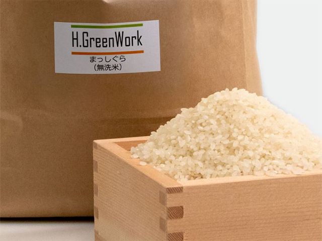 令和7年産 特別栽培米 まっしぐら 無洗米 10kg(5kg×2) [H.GREENWORK] 青森県 鯵ヶ沢産 / お米 こめ おこめ ごはん 農薬5割減 安心 安全 津軽