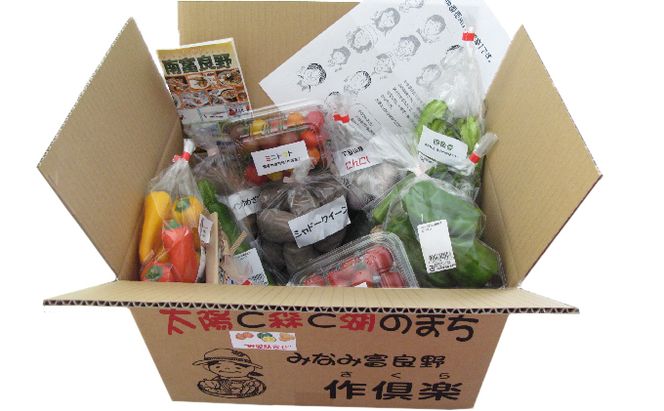 野菜 北海道 おまかせ 旬 野菜セット 南ふらの町 産地直送 旬の野菜 詰め合わせ セット ミニトマト きゅうり ズッキーニ なす とうもろこし ピーマン 夏野菜 夏 秋 2026年発送 