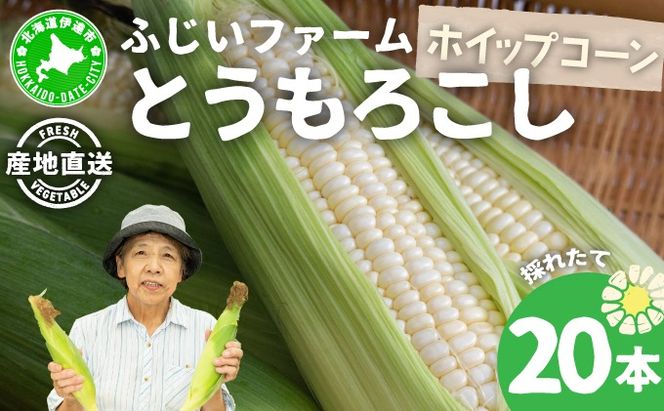 北海道産 とうもろこし ホワイト ホイップコーン 20本 Lサイズ とうきび コーン スイートコーン 先行受付 新鮮 朝採り 産地直送 国産 野菜 農作物 甘い 白い 人気 BBQ ふじいファーム  送料無料 北海道