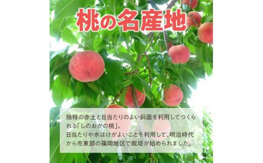 【数量限定】 しのおかの大きな桃(白鳳・秀クラス）[017O01]