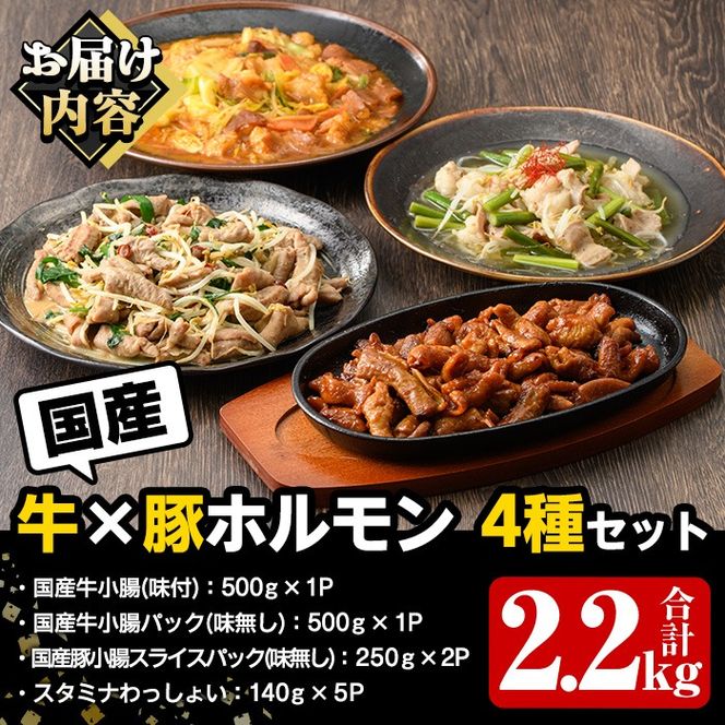 スターゼン特選！国産！牛×豚ホルモン食べ比べ4種セット(合計2.2kg)  阿久根市 国産 特産品 小腸 味付 パック 詰め合わせ 詰合せ 炒め物 鍋 モツ おかず お弁当 小分け 個包装 焼肉【スターゼン】a-12-46-z