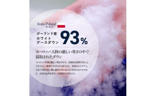 羽毛布団 【ダニ忌避率98.8％】本掛けの羽毛布団【ポーランド産400dpグース】シングル～ダブル 青雀色 羽毛布団 寝具 掛けふとん 布団 掛布団 ふとん 山梨 富士吉田