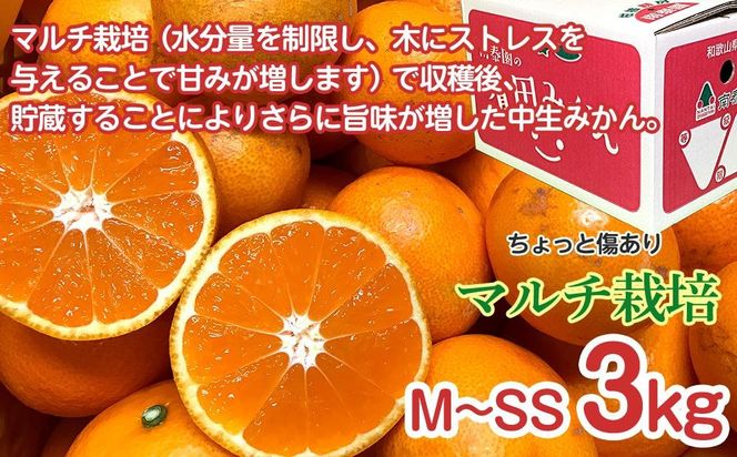 【定期便 全3回】有田みかん ちょっと傷あり 3kg × 3回 コース 食べくらべ 3種 南泰園 BS860