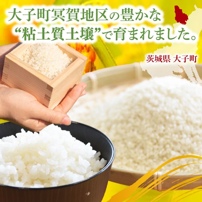 新米10kg 「名土のみやげ」コシヒカリ（白米）10kg 令和8年産  【9月中旬より順次出荷】｜茨城県 大子町 奥久慈 米 精米 ご飯 数量限定(DB002)