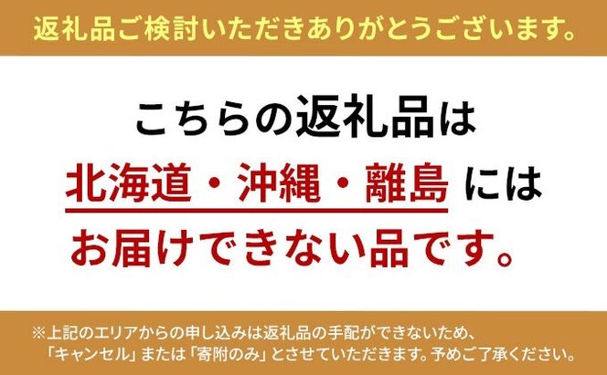 冷凍 ポーク カレー 10パック セット キッチンかいぞく 岡山 B級グルメ