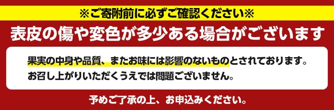＜先行予約受付中！2027年1月上旬以降順次発送予定＞数量限定！紅さわ香(10kg) 国産 鹿児島県 阿久根市 果実 果物 フルーツ 柑橘 紅甘夏 みかん ミカン 期間限定 数量限定【桐野柑橘株式会社】akn070-03