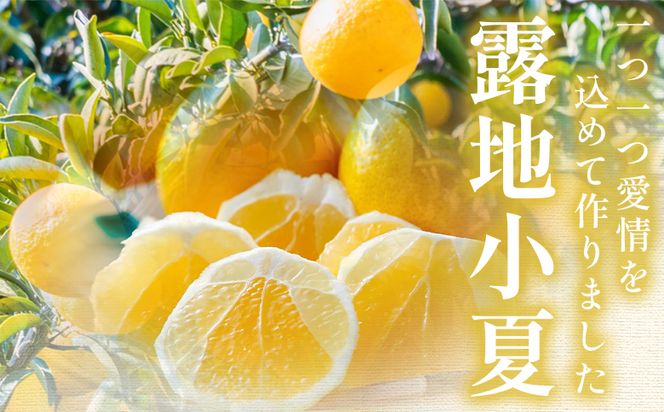 露地 小夏 5kg 家庭用 混合（M〜Lサイズ） フルーツ 果物 くだもの こなつ 5きろ ５キロ わけあり 訳あり 美味しい 高知県 香南市 nm-0005