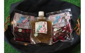 甲斐市特産の梅セット【山梨 甲斐市 梅 梅ジャム 梅漬け】
