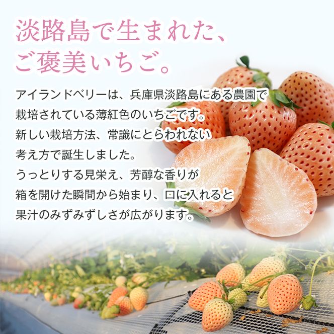 淡路島アイランドベリー 白苺淡雪 2～4パック入【2027年2月発送予約受付・お届け日指定不可】　苺