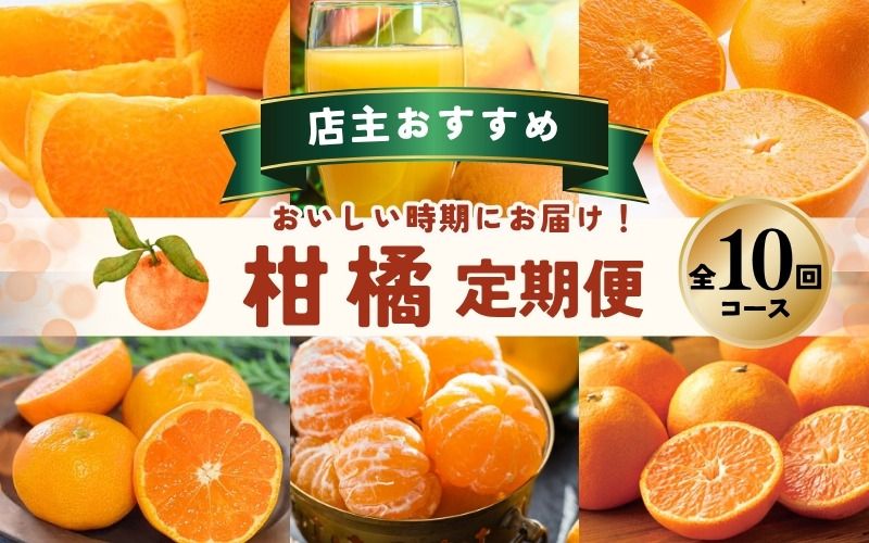 みかん[全10回] 柑橘 定期便 石本果樹園 店主おすすめの柑橘セットをお届け! / フルーツ 果物 くだもの 柑橘 フルーツ定期便 くだもの定期便 定期便 フルーツセット くだものセット みかん ミカン 温州みかん 不知火 せとか セミノール ポンカン カラマンダリン 甘夏 清見 オレンジ ジュース みかんジュース 果実飲料 産地直送 旬 人気 おすすめ 詰め合わせ お楽しみ 三重県 紀宝町 [tkb509]