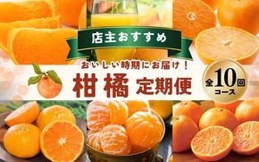 みかん【全10回】 柑橘 定期便 石本果樹園 店主おすすめの柑橘セットをお届け！ / フルーツ 果物 くだもの 柑橘 フルーツ定期便 くだもの定期便 定期便 フルーツセット くだものセット みかん ミカン 温州みかん 不知火 せとか セミノール ポンカン カラマンダリン 甘夏 清見 オレンジ ジュース みかんジュース 果実飲料 産地直送 旬 人気 おすすめ 詰め合わせ お楽しみ 三重県 紀宝町  【tkb509】