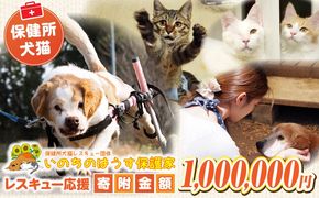 保健所犬猫レスキュー【返礼品なしのご寄附】犬 猫 保護 レスキュー 動物愛護 返礼品なし ペット 保護犬 保護猫 支援 応援 ボランティア_kn101-007