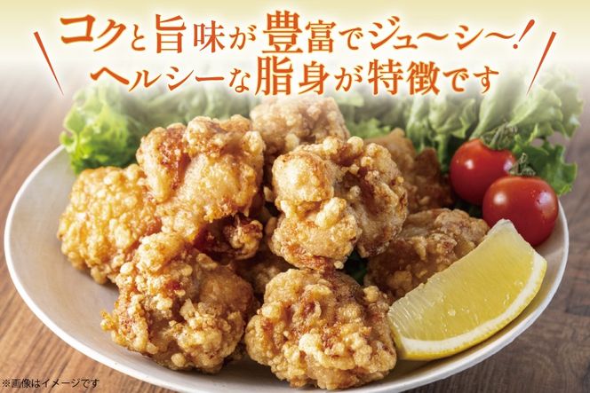 鶏肉 12回 定期便 宮崎県産 若鶏 もも肉 2kg 計 24kg [エム・ティ・シー 宮崎県 日向市 452061740] 小分け もも モモ もも肉 モモ肉 冷凍 肉 ふるさと納税 宮崎