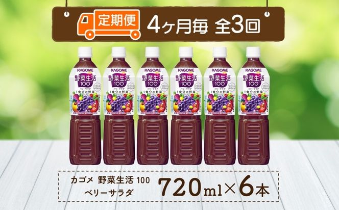 ns038-074　【定期便】4ヵ月毎全3回野菜生活100 ベリーサラダ 720mlPET