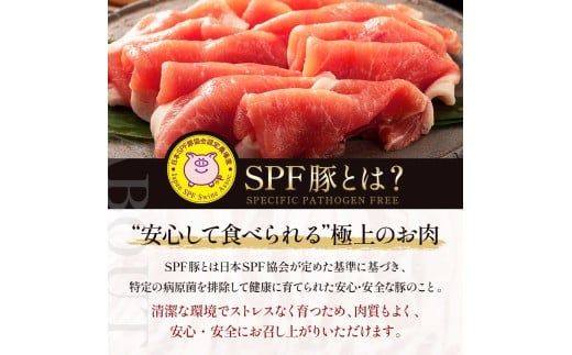 北海道産 SPF豚ロース 1kg×3袋 | 豚肉 ポーク 冷凍 厚さ約8mm 豚 ぶた肉 ブタ肉 豚ロース 肉 お肉 精肉 厚切り 熟成 北海道産 国産 とんかつ ポークソテー ステーキ カツ丼 カツカレー トンテキ 北海道 滝川市