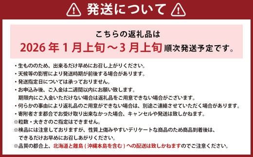 完熟あまおう 贈答用 2パック 合計約500g～820g 【2026年1月上旬～3月上旬までに出荷予定】 いちご 苺 イチゴ ベリー 果物 フルーツ お取り寄せ デザート おやつ