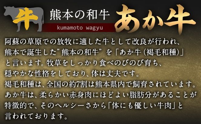焼肉屋さんのあか牛カレー 600g (200g×3食) 白水乃蔵《30日以内に出荷予定(土日祝除く)》 あかうし 赤牛 あか牛 牛 カレー 南阿蘇村 肉---sms_fhakkr_30d_r7_14500_3p---