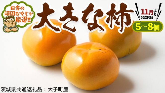 y錧΂݂炢sz傫 ` 5`8y11蔭Jnzcɂ̊ł₶II [BI153-NT]