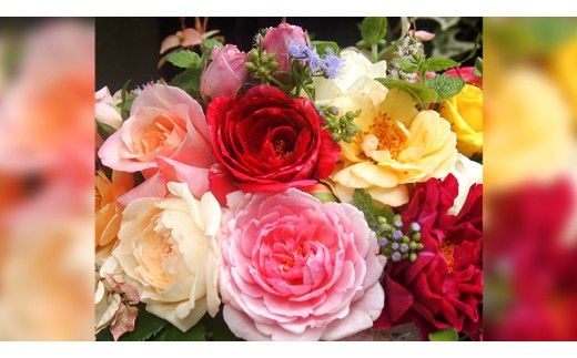 バラとハーブのプチアレンジメント（バラとハーブ）[BN005ci]