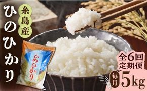 【全6回定期便】糸島産 ひのひかり 5kg × 6回 糸島市 / 三島商店 [AIM009] 米 白米