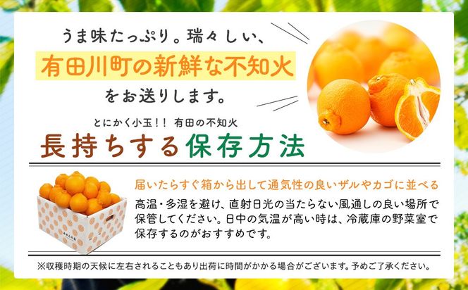 不知火 とにかく 小玉 箱込 2.5kg (内容量約 2.3kg) 秀優品混合 和歌山県産 産地直送［みかんの会］ AX142
