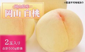 桃 2026年 先行予約 白桃 2玉入り 合計500g前後 岡山県産もも モモ 岡山県産 国産 フルーツ 果物 ギフト