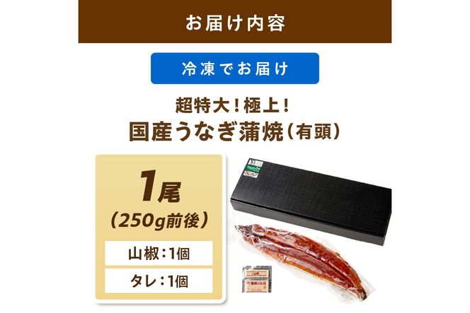 超特大！極上！国産うなぎ蒲焼 1尾 250g前後 ＜鰻の蒲焼き ウナギのかば焼き 超特大かばやき 肉厚カバヤキ スタミナ 土用の丑の日 小分け＞　YK00400