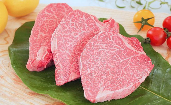 【飛騨牛】海津市産ヒレステーキ150g×3 【配達不可：離島】 お肉 牛肉 ステーキ用 国産 岐阜県産 ブランド牛 夕飯 記念日 ディナー 希少部位 贅沢 赤身 柔らかい 濃厚 旨味 
