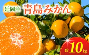 青島みかん（10kg）12月下旬から発送 N050-YA979