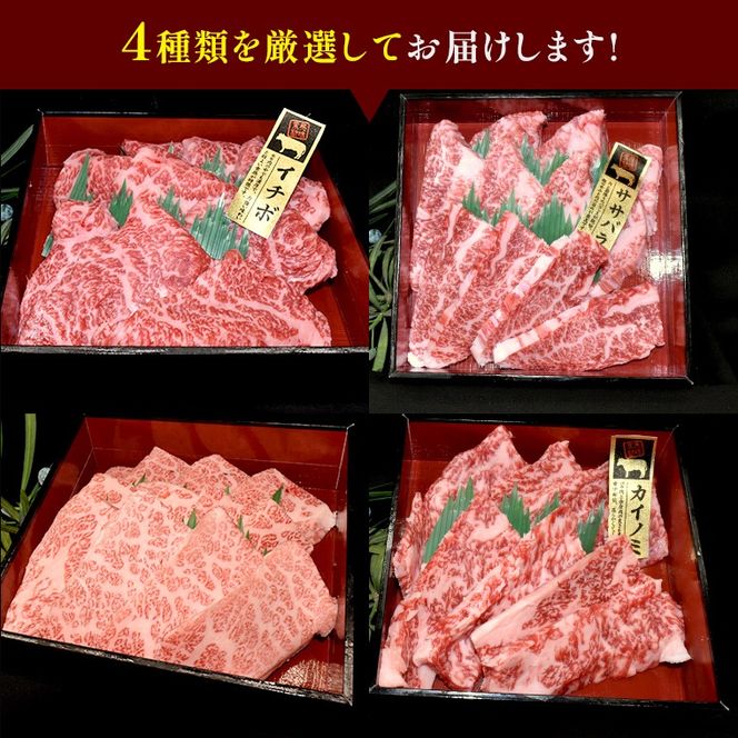 【 常陸牛 希少部位 】 焼肉 食べ比べ 4種 セット ( 茨城県共通返礼品 ) 国産 焼き肉 バーベキュー BBQ お肉 サーロイン バラ ブランド牛[BM051us]