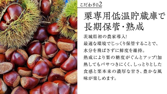 ＼ 選べる内容量 ／熟成で糖度の上がった粗むき栗 200g ×2～5袋 (冷凍真空包装) 栗 栗ご飯 むき栗 栗 和栗 フルーツ 秋の味覚 お手軽   [BK43-NT]