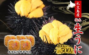 北海道 礼文島産  塩水ウニ （ キタムラサキウニ ）100g×5  生うに うに 雲丹  魚貝類 500g 