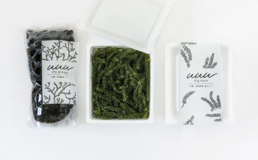 【お手軽沖縄海藻セット】海ぶどう（200g）＆もずく（500g）【2026年4月より順次発送】