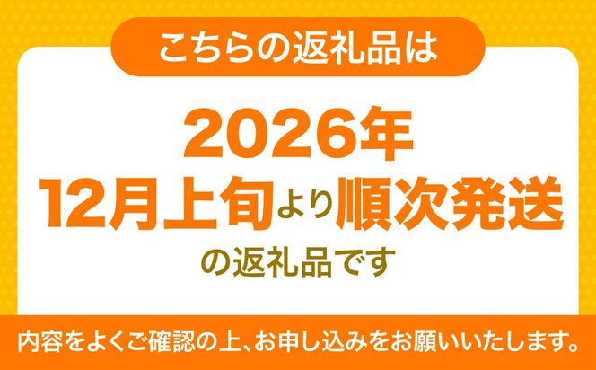 【先行予約】紅華（生果）約2.5kg（2026年12月上旬より順次発送） IKTF014
