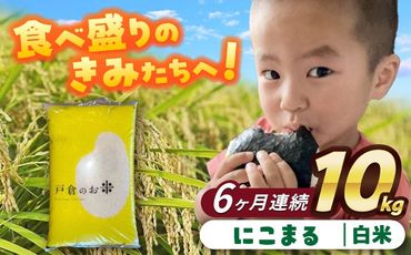 【6回定期便】にこまる　白米　10kg　お米　ご飯　愛西市／株式会社戸倉トラクター[AECS062]