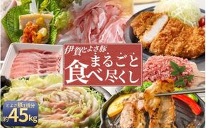 伊賀とよさ豚まるごと食べ尽くし【cook0046】