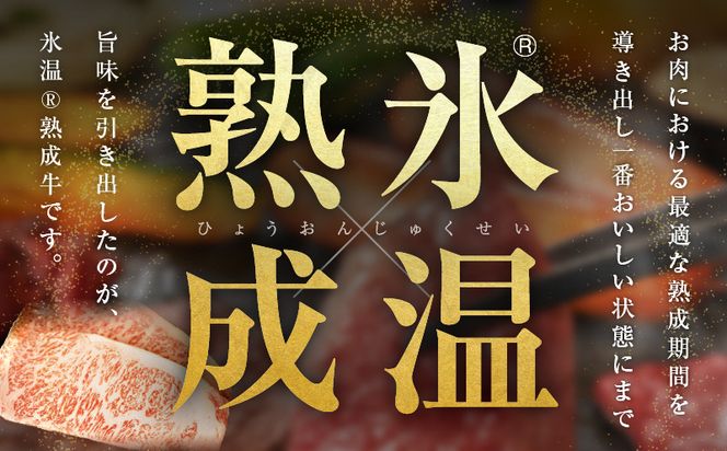 mrz0275 【氷温熟成×極味付け】黒毛和牛A4等級 ロースステーキ400g（2枚で合計400g）