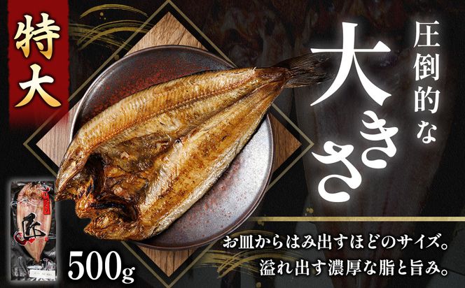 北海道産 ほっけ一夜干し（500～550g）×5枚 【配送日時指定可能】 釧路町の匠が贈る 北の至宝 ホッケ 干物 焼魚 焼き魚 白身魚 セット ひもの 魚干物 一人暮らし セット おかず 冷凍 スピード発送 すぐ届く 魚介類 海鮮 絶品 人気 ヒロセ すぐ発送 北海道 釧路町 釧路超 特産品