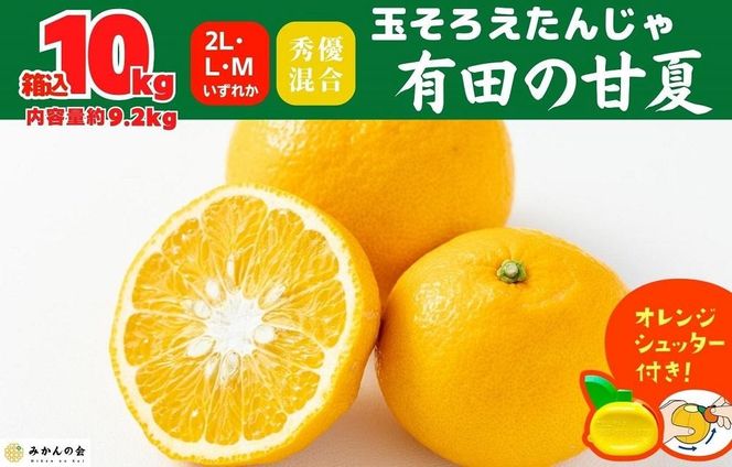 甘夏 玉ぞろい 箱込 10kg ( 内容量約 9.2kg ) 秀品 優品 混合 2L  L M サイズのいずれか 和歌山県 産地直送 ［皮むき器付き］ ［みかんの会］ 	AX253