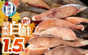 a10-1177　訳あり！天然 白鮭 甘口 切身 約1.5kg バラ凍結 大袋ジッパー