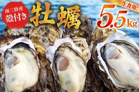 【期間限定発送】 牡蠣 南三陸志津川産 殻付き牡蠣 5.5kg 30個前後 [南三陸牡蠣倶楽部 宮城県 南三陸町 30ao0002] カキ かき 生牡蠣 魚貝類 生牡蠣 貝 海鮮 魚介類 オイスター カキフライ カキ鍋 アヒージョ 魚介 期間限定 冷蔵 新鮮 濃厚