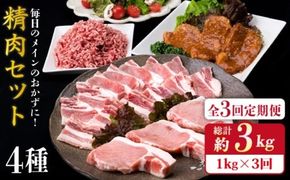 【全3回定期便】毎日のメインのおかずを彩る精肉セット 1,050g 2～3人前 4種《糸島》【糸島ミートデリ工房】 [ACA201] 和牛 牛肉 豚肉 鶏肉 BBQ トンカツ 焼肉 ハンバーグ