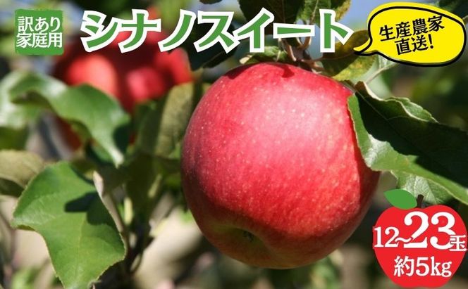 【2026年10月発送】シナノスイート 訳あり家庭用 約5kg 12～23玉 りんご 果物 訳あり 信州 長野