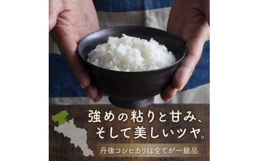 令和7年産　京都・京丹後産コシヒカリ　5㎏（5kg×1袋）　TO00123