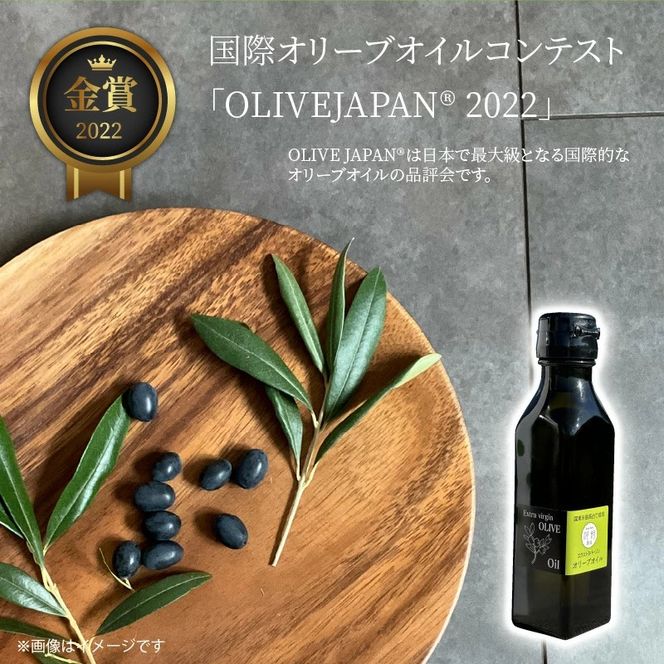 【先行予約】河野農園のエキストラバージンオリーブオイル 105g×2本 _1922R