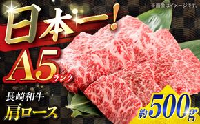 【A5ランク】長崎和牛 肩ロース 500g / 和牛 国産 牛肉 にく ブランド牛 真空 / 南島原市 / ミカド観光センター[SEC005]